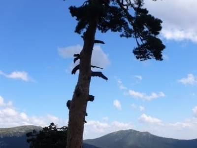 Senderismo Sierra de Guadarrama - Mujer Muerta; iniciacion senderismo; rutas montaña cerca madrid